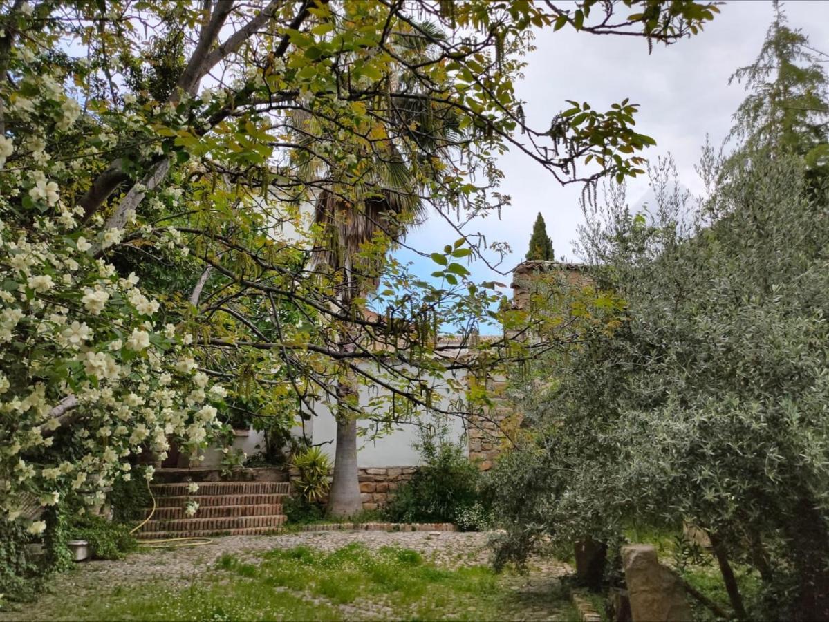 Casa Palacio El Caballero De Malta Ούβεδα Εξωτερικό φωτογραφία